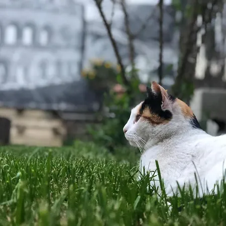 Villino Elda *