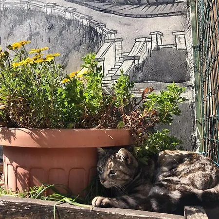 Villino Elda