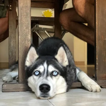 Bed & Breakfast Villino Elda *