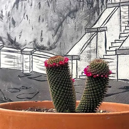 Villino Elda